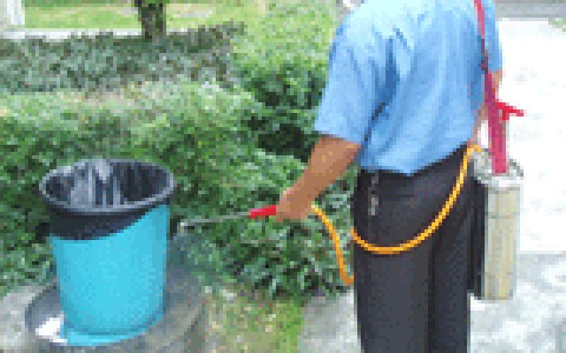 滅‘四害’工程及垃圾清運